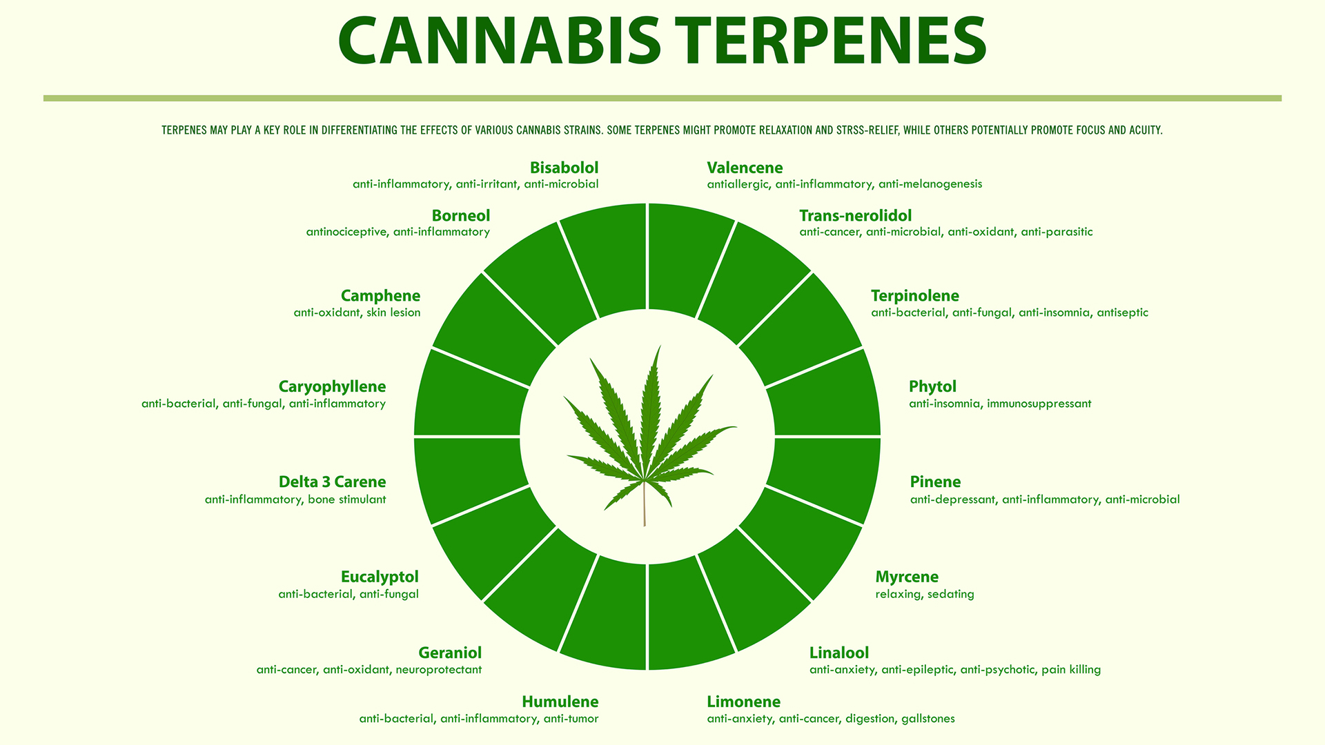 Difference Between Cannabinoids And Terpenes