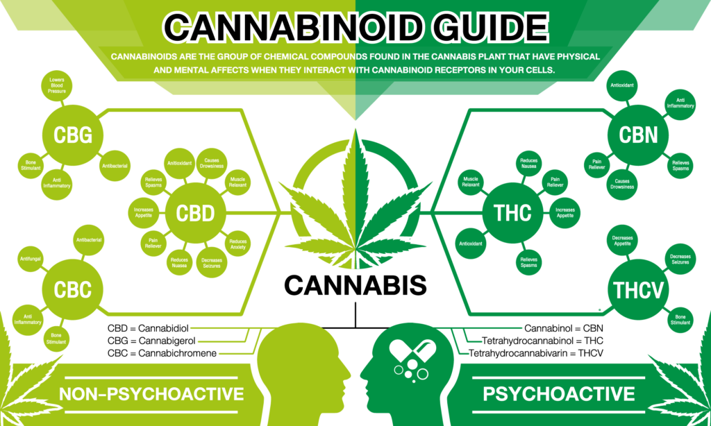 What Are Tsa Guidelines When Flying With CBD