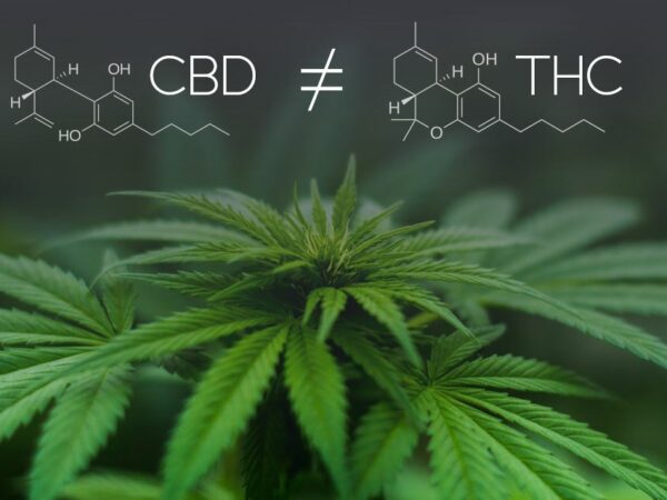 Benefits of THC-V Products