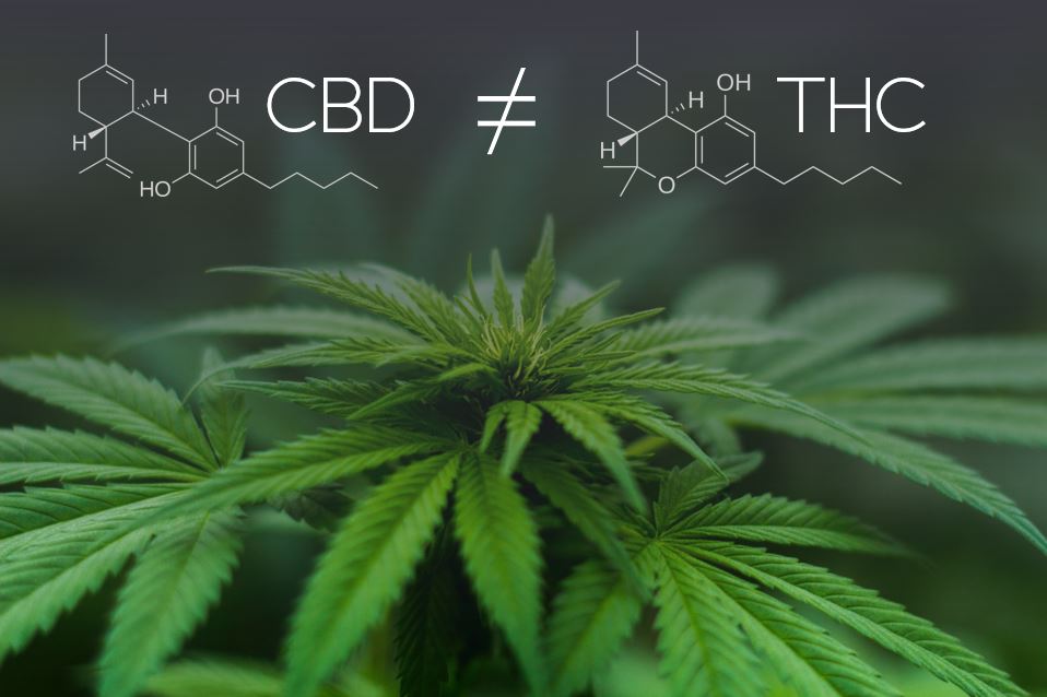 Benefits of THC-V Products