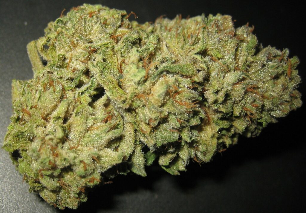 Burning Desire Marijuana Strain